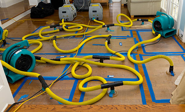 Professional Water Extraction technician working in Concord, MO